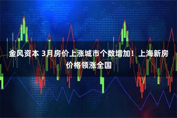 金风资本 3月房价上涨城市个数增加！上海新房价格领涨全国