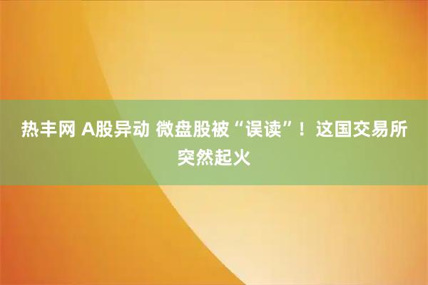 热丰网 A股异动 微盘股被“误读”！这国交易所突然起火