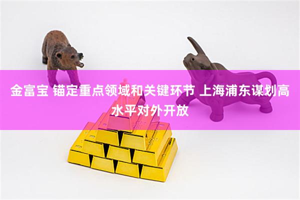 金富宝 锚定重点领域和关键环节 上海浦东谋划高水平对外开放