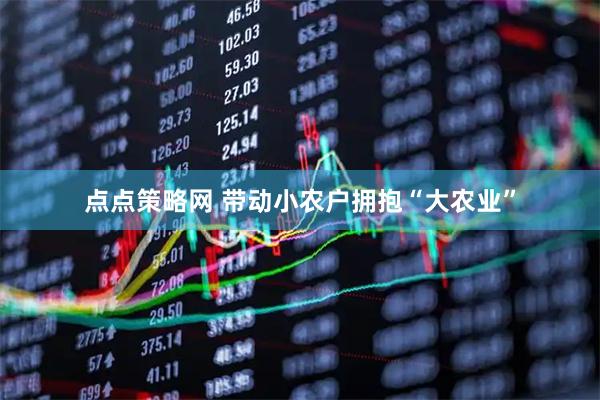 点点策略网 带动小农户拥抱“大农业”