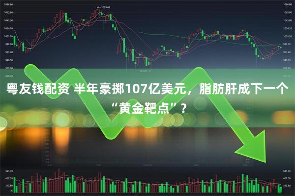 粤友钱配资 半年豪掷107亿美元，脂肪肝成下一个“黄金靶点”？