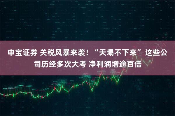 申宝证券 关税风暴来袭！“天塌不下来” 这些公司历经多次大考 净利润增逾百倍