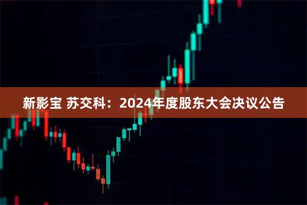 新影宝 苏交科：2024年度股东大会决议公告